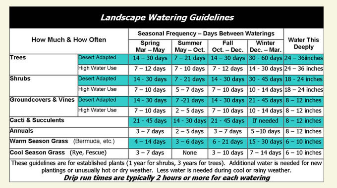 Watering Tips